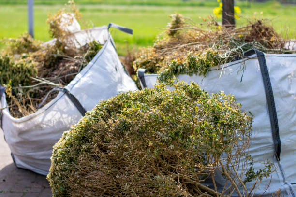 Best Office Junk Removal  in Lone Tree, CO